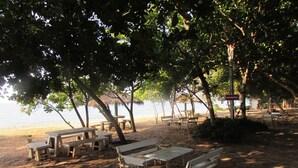 Zona de playa con mesas de picnic y bancos bajo árboles, con vista al mar.