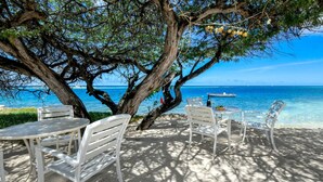 Un espace aménagé avec des chaises et des tables en métal blanc, situé au bord de la plage, un grand arbre offrant de l’ombre et une vue sur la mer avec un bateau à l’horizon.
