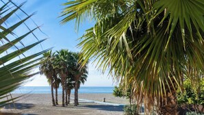 A beach with palm trees and a clear view of the ocean.