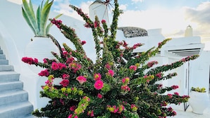 Uma escadaria branca com um vaso de flores cor-de-rosa e folhagem verde.