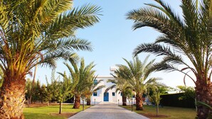 A pathway leading to a building with a blue door, surrounded by palm trees.