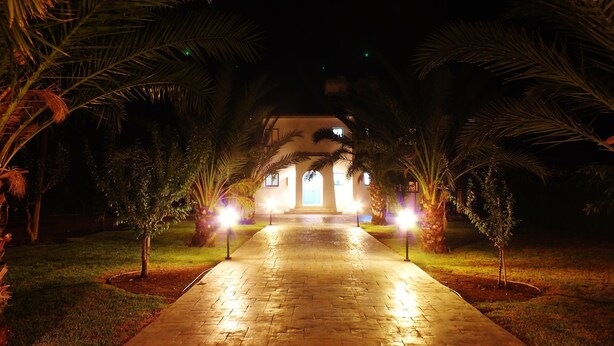 A paved pathway leading to a building with a central entrance, flanked by palm trees and illuminated by ground lights.