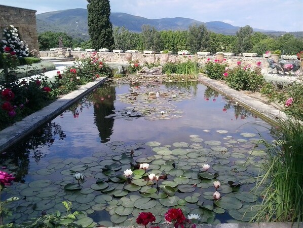 Property grounds - Charming little house with pool at the foot of the Luberon  (Cucuron)