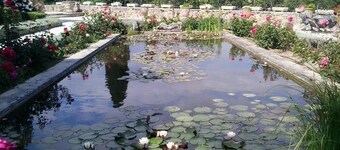 Charming little house with pool at the foot of the Luberon 