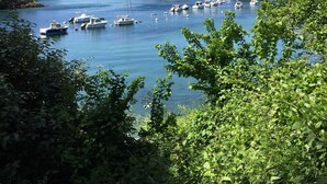 Ein Yachthafen mit vertäuten Booten, umgeben von üppigem Grün und blauem Himmel.