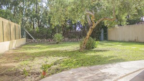 Un pati d'entrada amb un arbre, una paret de pedra i una zona pavimentada.