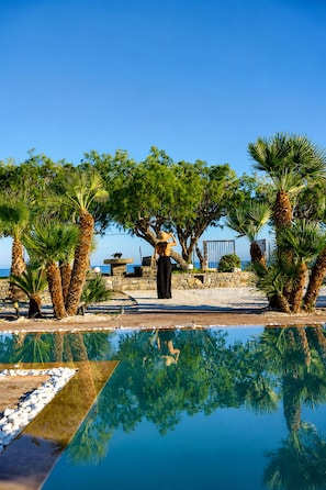 A pool with palm trees and a person standing in the background.