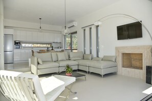 TV, fireplace, DVD player
