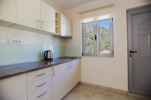 Fridge, electric kettle, cookware/dishes/utensils, spices