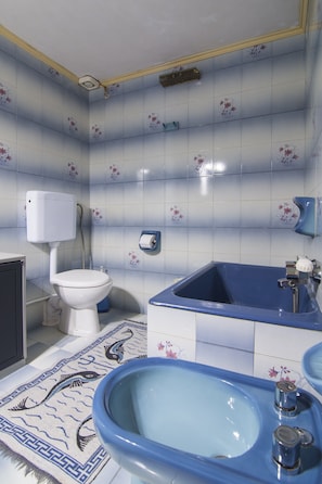 Hair dryer, towels, toilet paper