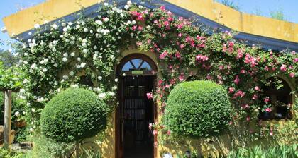 Far from the Madding Crowd: Escape to the Casa Aloes, BioUV Scanned clean & safe