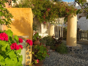 Un patio con plantas y flores en macetas, muros de piedra y un sendero adoquinado.
