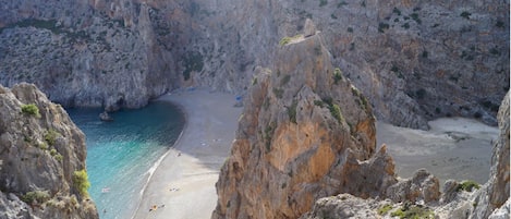 Strand