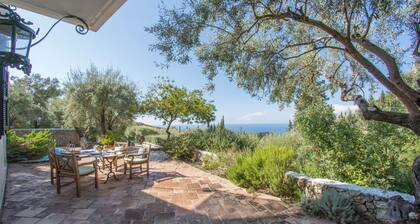Villa Mimosa - Agios Nikitas Villas