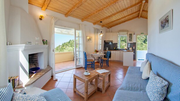 Een ruime woonkamer met een open haard, een eettafel en een bank. Achtergrond: een keuken met uitzicht op groen.