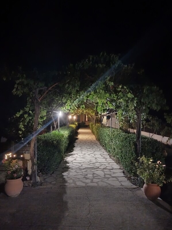 Property grounds - The Pergola Cottage... Feel the local vibes !!! (Περιβόλι)