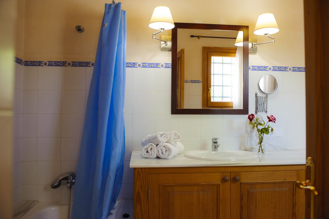 A bathroom with a shower curtain, a sink, a mirror, and a vase with flowers.