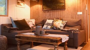 TV, video library, stereo