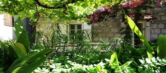The Old Vine House - Beautifully Preserved 3 Storey Stone House