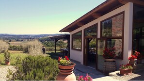 Terraza o patio