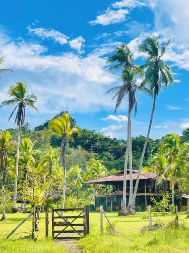 Finca Manglar-boat, horses, pool, tours included