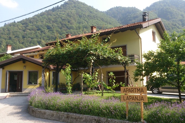 The house with well-tended exterior