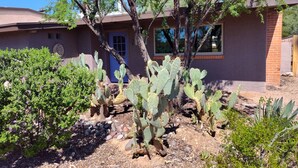 Exterior detail - Serene and Charming, Private, Immaculate, Central,  2/1.5 Back yard and Pool (Tucson)