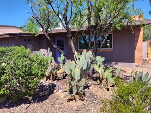 Exterior detail - Serene and Charming, Private, Immaculate, Central,  2/1.5 Back yard and Pool (Tucson)