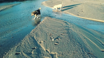 Camastros y toallas de playa