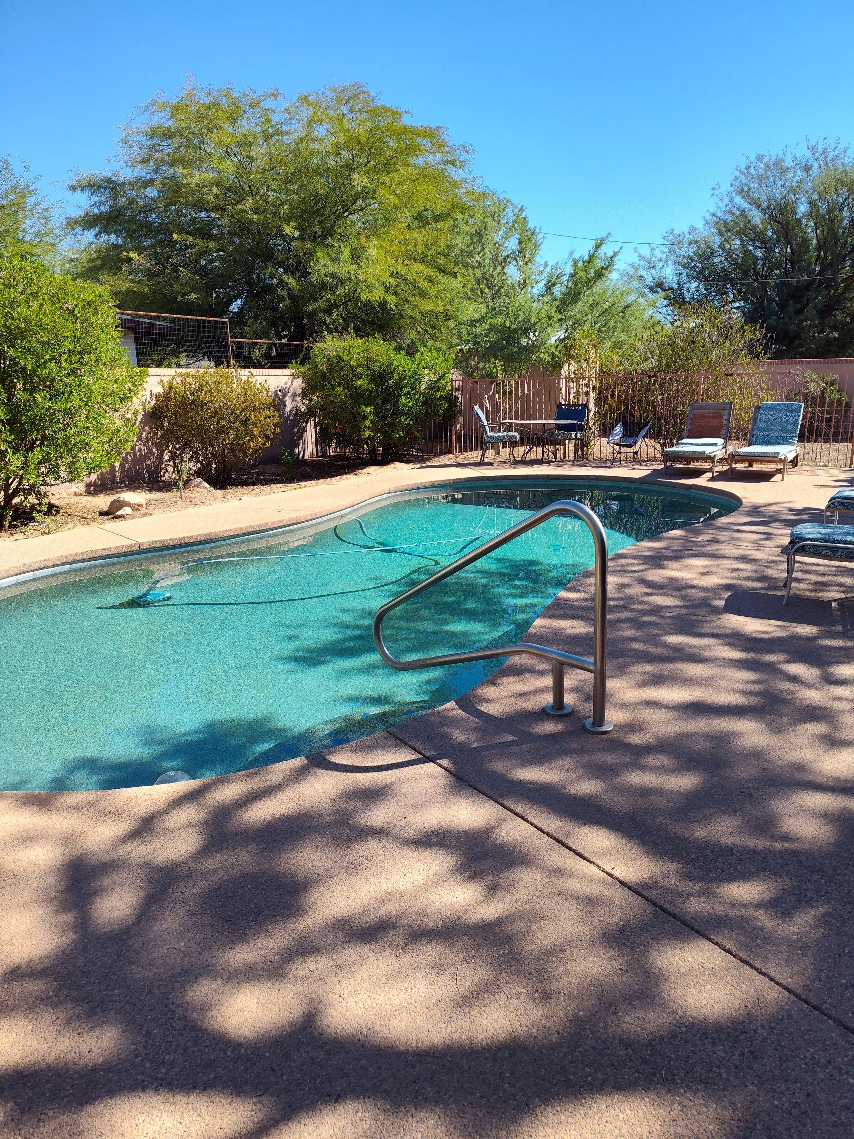 Piscina com escada de metal, cercada por árvores e um muro.