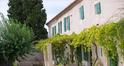 XVIIIth Century fully renovated Provencal farmhouse in Maussane-les-Alpilles