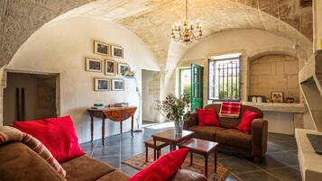 Smart TV, caminetto, lettore DVD, libri