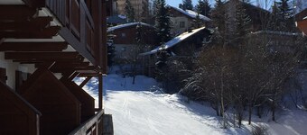 Les Deux Alpes / skis with feet 4/6 pers. 37m2