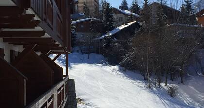 Les Deux Alpes / skis with feet 4/6 pers. 37m2