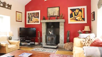 Smart TV, fireplace, DVD player, books