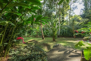 Property grounds - Gorgeous Pool + Gardens Steps from Beach--Ideal Family Getaway in Prime Location (Puerto Viejo)