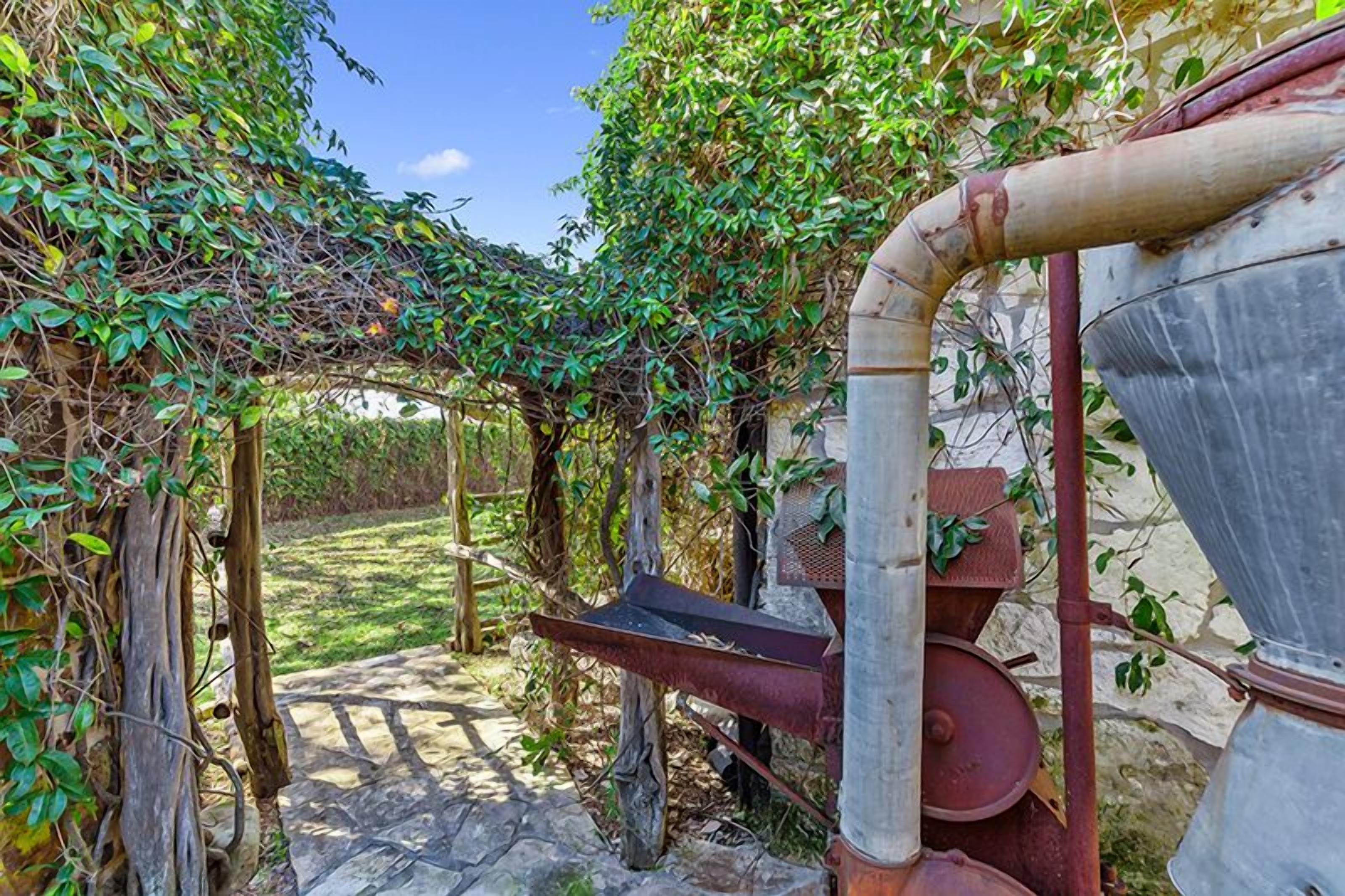 Un espacio al aire libre rústico con un camino de piedra, una estructura metálica y una pérgola cubierta de hiedra.