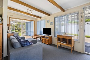 TV, fireplace, books