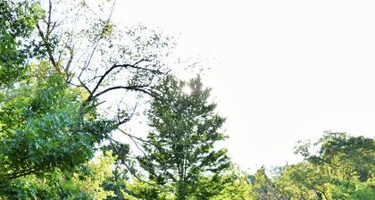 GREEN HILL LODGE @ thegreenhilllodge.com