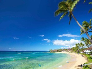 Beach - Garden Retreat w/Ground Floor Ease - Kiahuna #2115 (KOLOA)