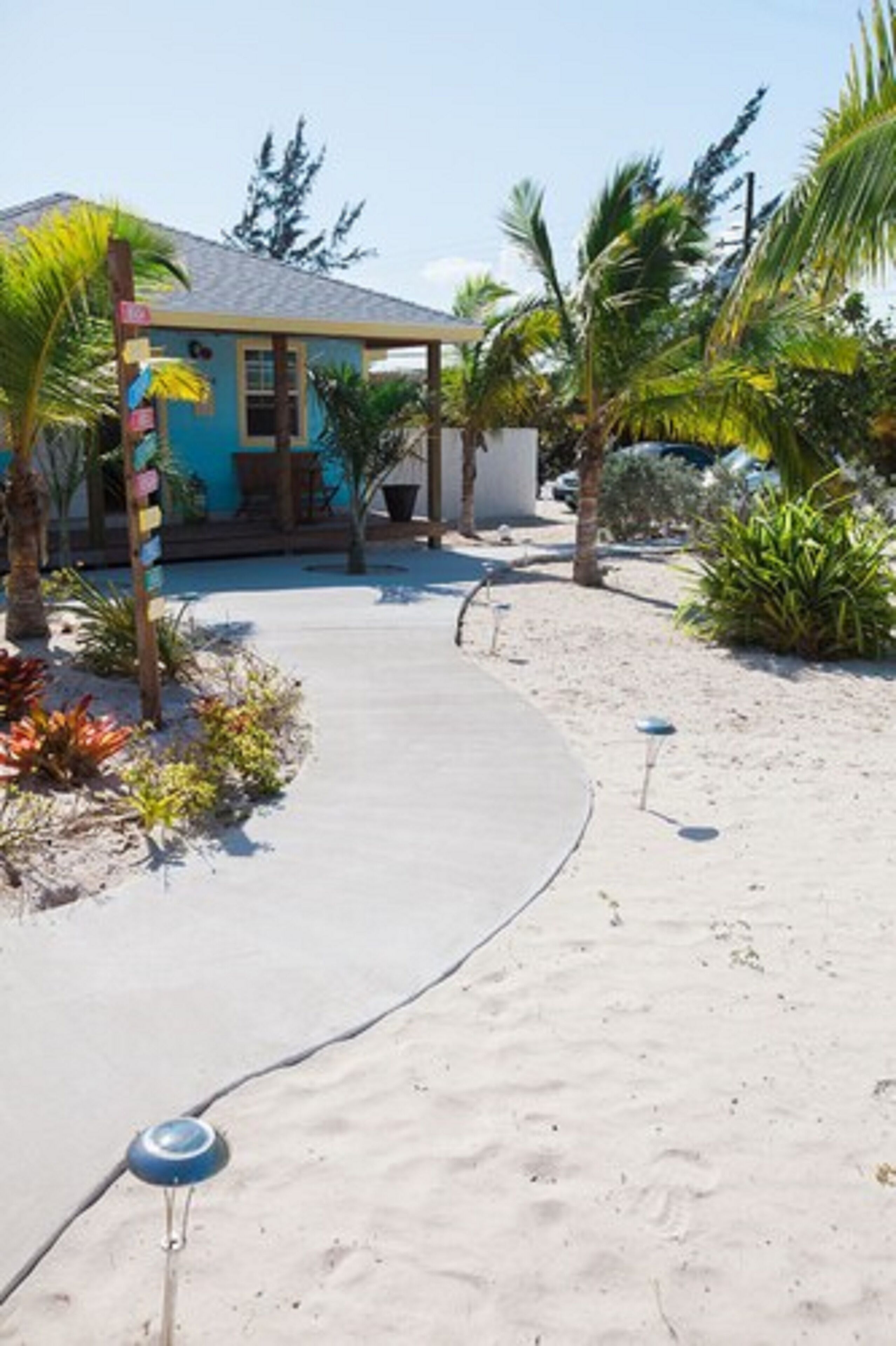 A pathway leading to a building with a blue roof, surrounded by palm trees and plants.