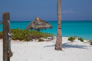 A beach scene with a thatched hut, palm trees, and clear turquoise water.