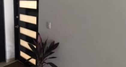 3 Bed 2 Bath Apartment In Quiet Safe Neighborhood