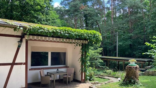 Un espace extérieur aménagé, abrité et doté d’une table et de chaises, entouré d’un jardin avec un banc en bois et le tronc d’un arbre.