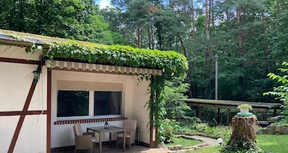 House in the woods, own property