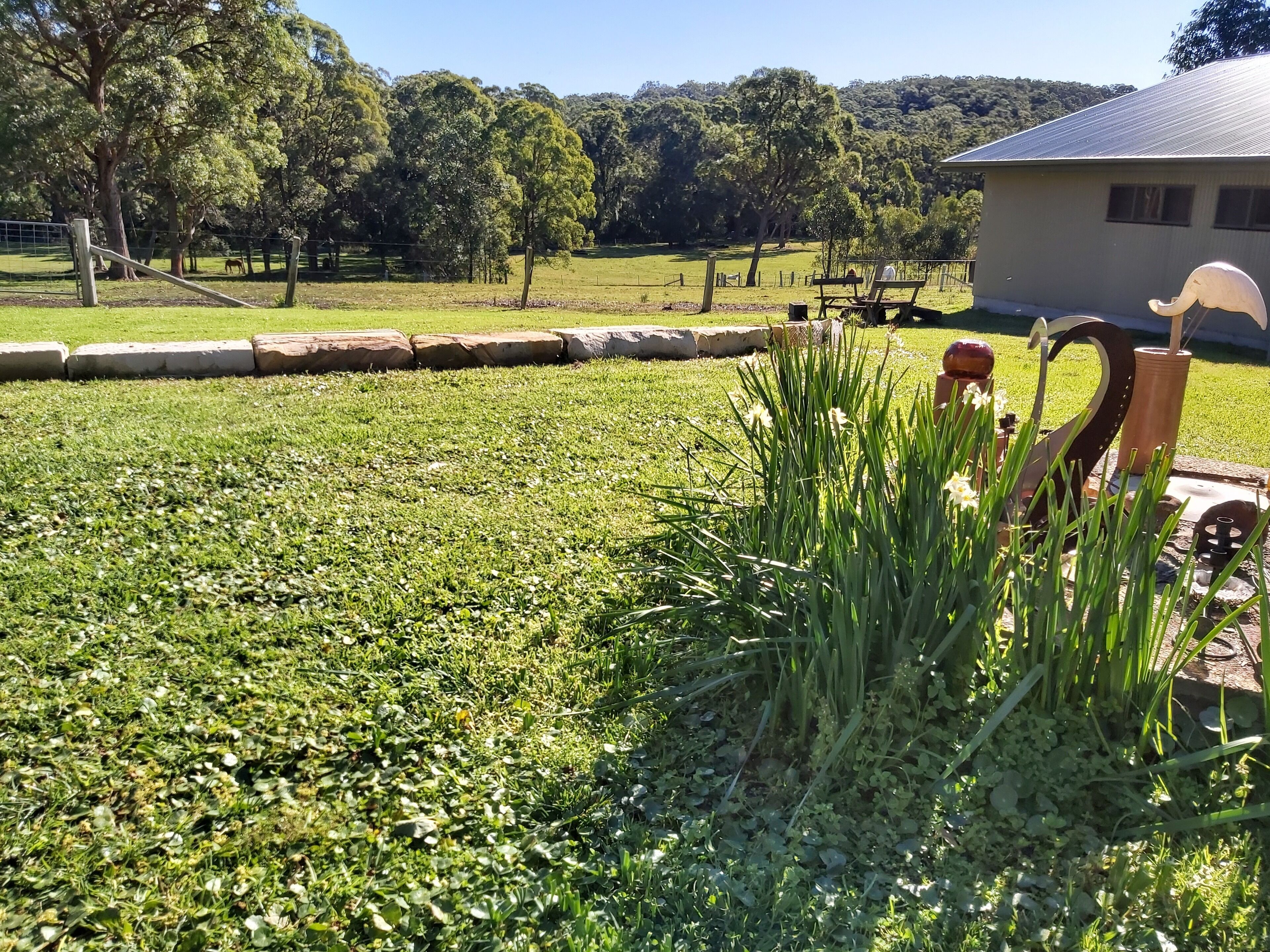 View across the paddocks