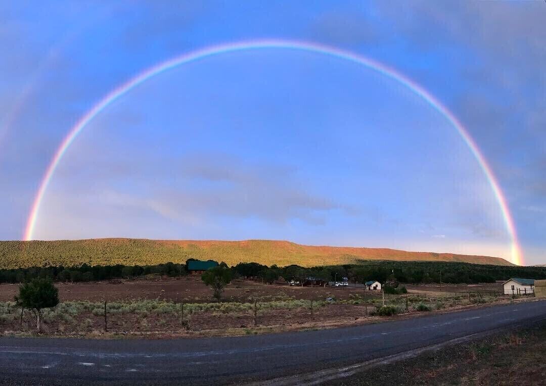 Top 12 PetFriendly Cabins In And Near Telluride, Colorado Updated