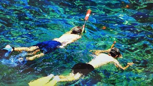 Deux personnes nagent dans une eau claire.