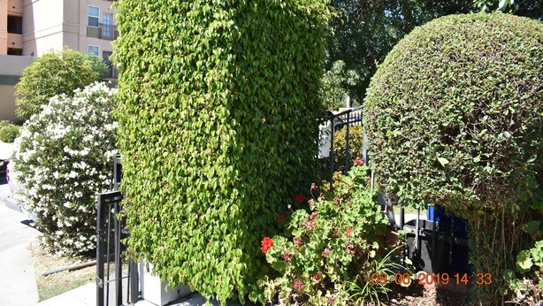 Un bâtiment à la façade sobre, entouré de haies bien entretenues et de plantes en fleurs.