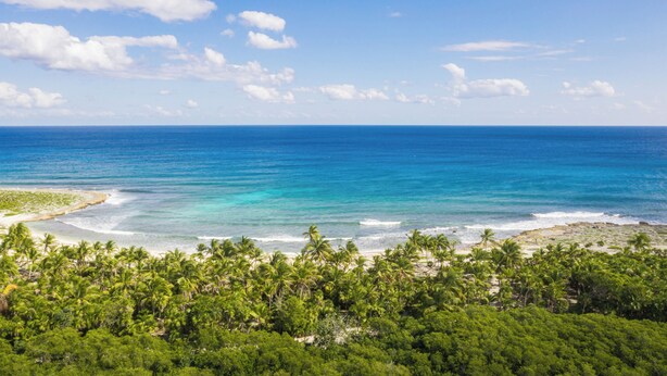 A coastal landscape with a beach, palm trees, and the ocean. - Solmare Apartments & Suites (Akumal)